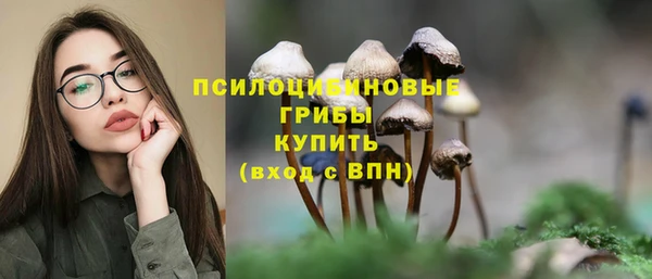 трава Абаза