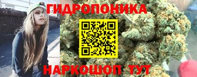 индика Краснодар